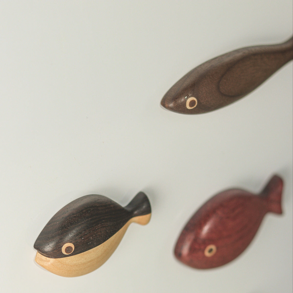 “Abundance of Fish Every Year” Set of 7 Wooden Fridge Magnets