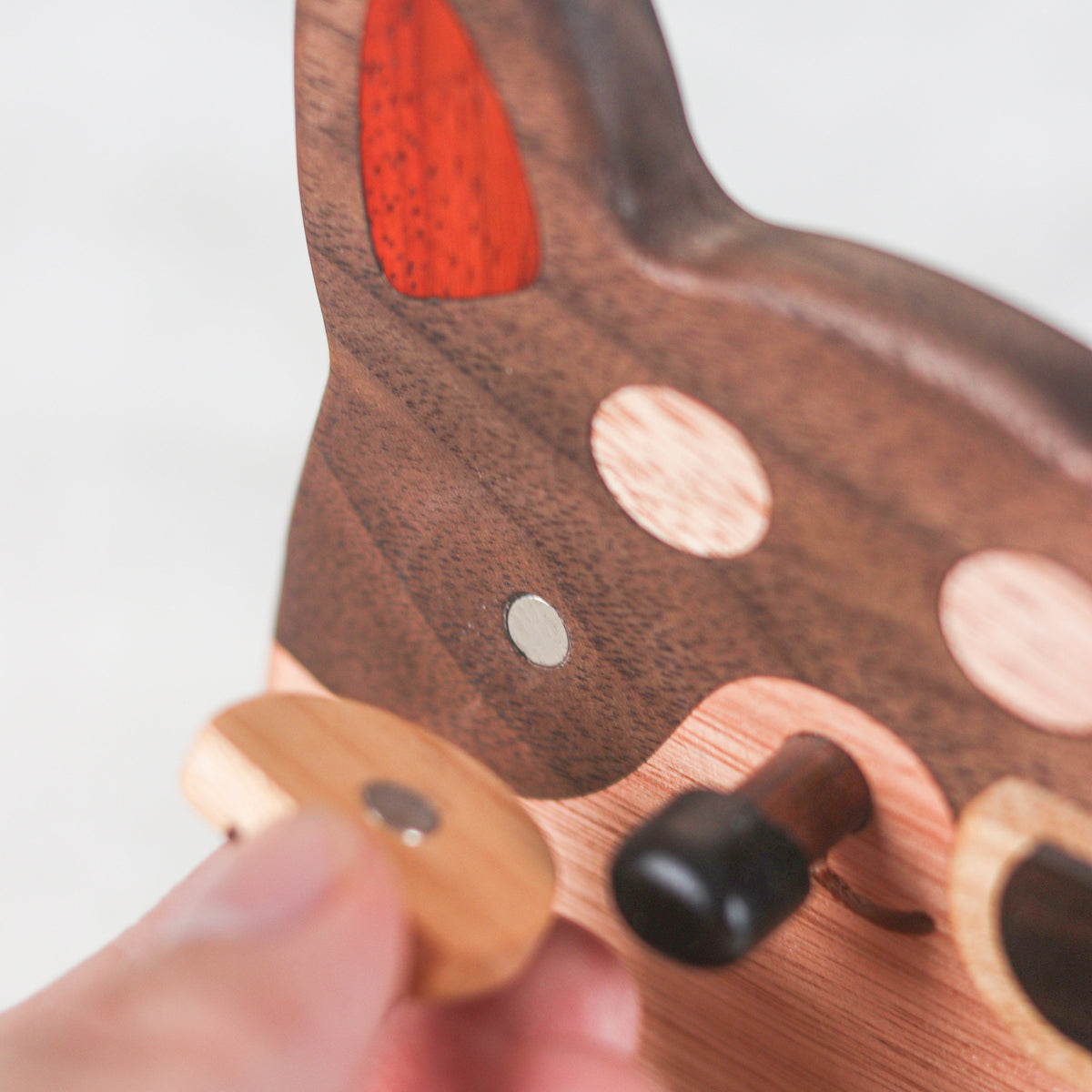 Solid Wood Dog Eyeglass Frames